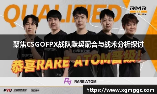 哈哈体育app官网入口