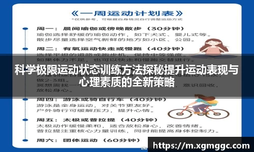 哈哈哈体育
