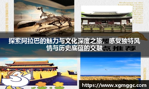 哈哈体育app官网入口