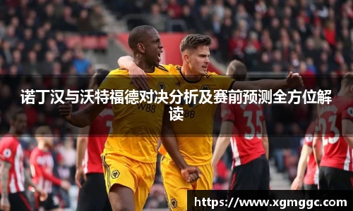 诺丁汉与沃特福德对决分析及赛前预测全方位解读