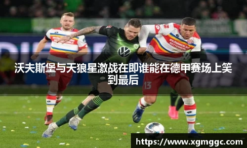 HAHA体育官网